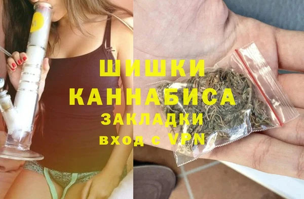 apvp Бородино