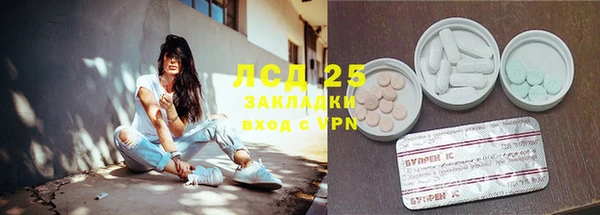 apvp Бородино
