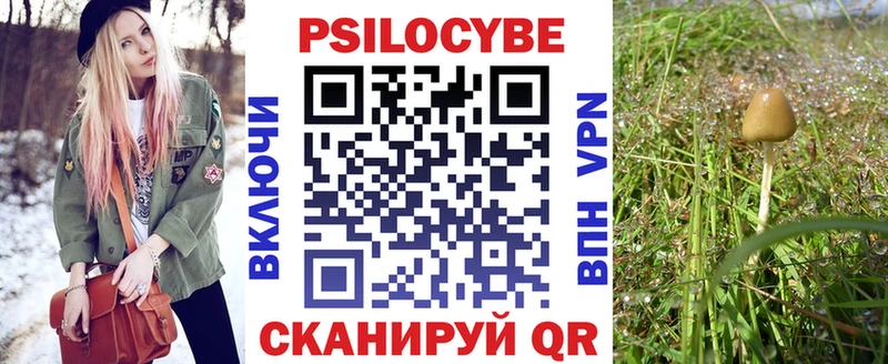 Псилоцибиновые грибы Cubensis даркнет сайт Бежецк